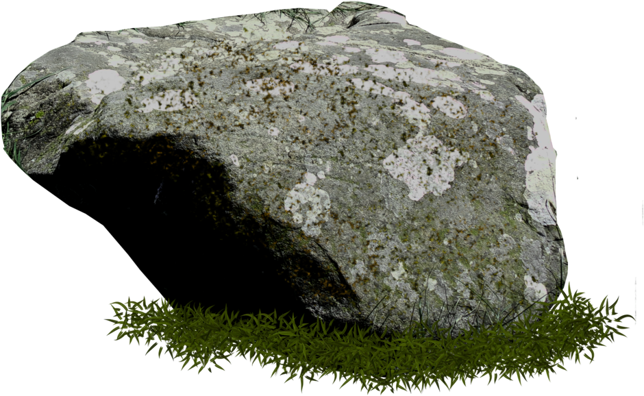 A Rock With Grass On The Ground