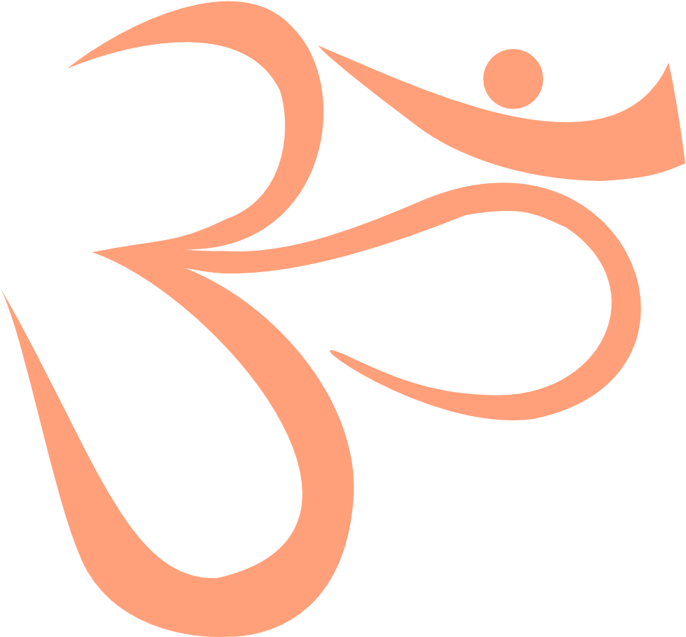 A Orange And Black Symbol