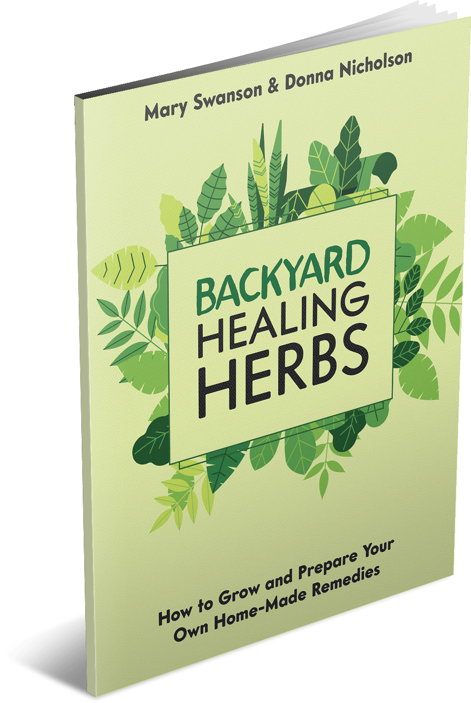 Backyard Healing Herbs Review, Hd Png Download