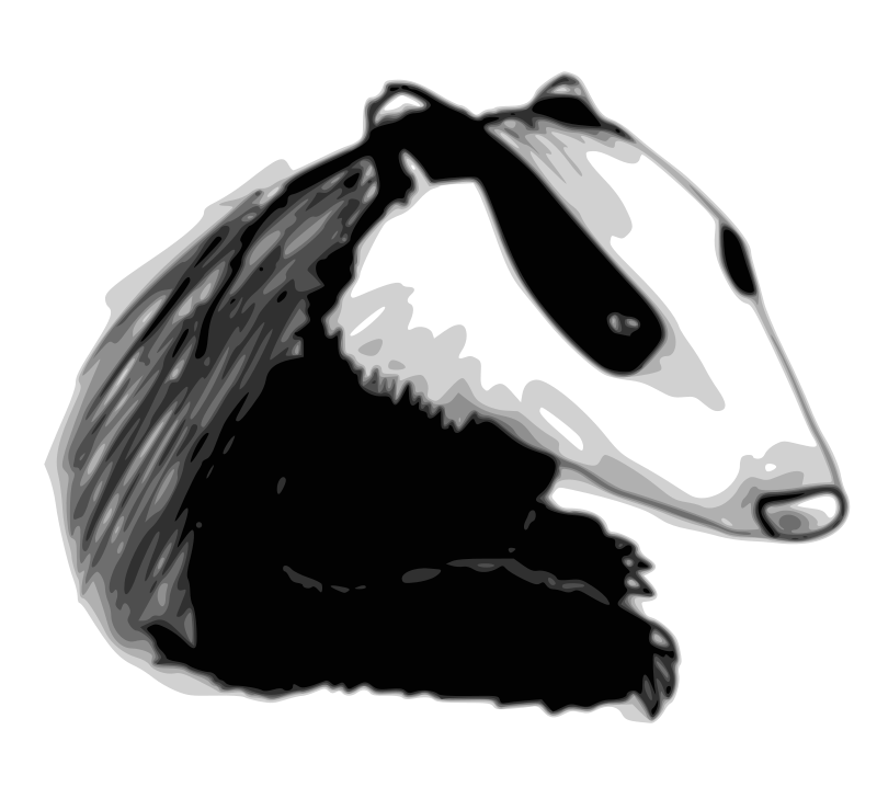 A Black And White Image Of A Badger