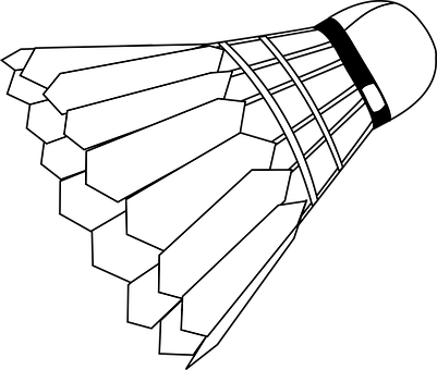 A White And Black Shuttlecock