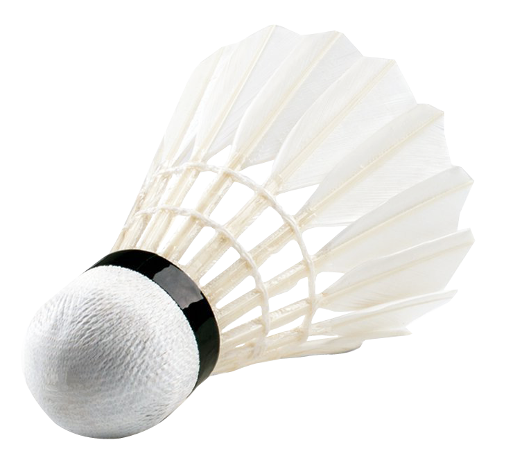 A White Shuttlecock With Black Band