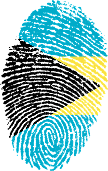 A Fingerprint With A Blue And Yellow Flag