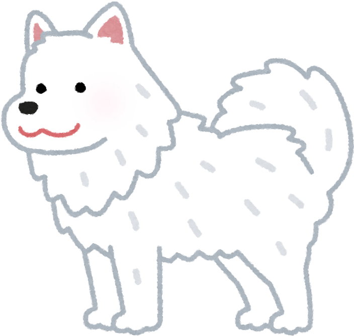 A White Dog With Black Background