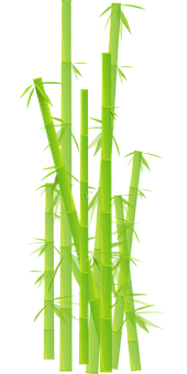 A Green Bamboo Plant With Black Background
