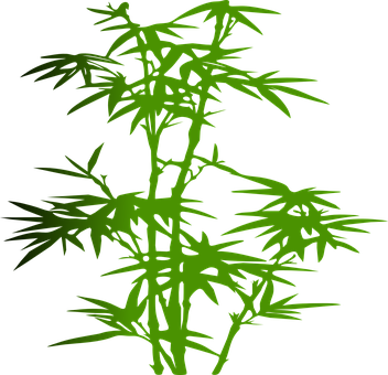 A Green Plant With Black Background