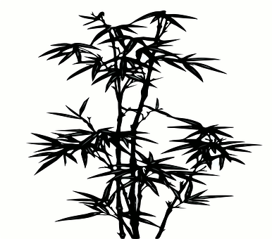 A Silhouette Of A Plant