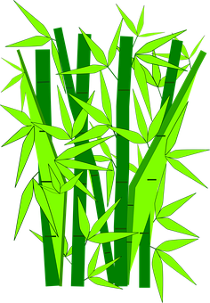 A Green Bamboo With Leaves