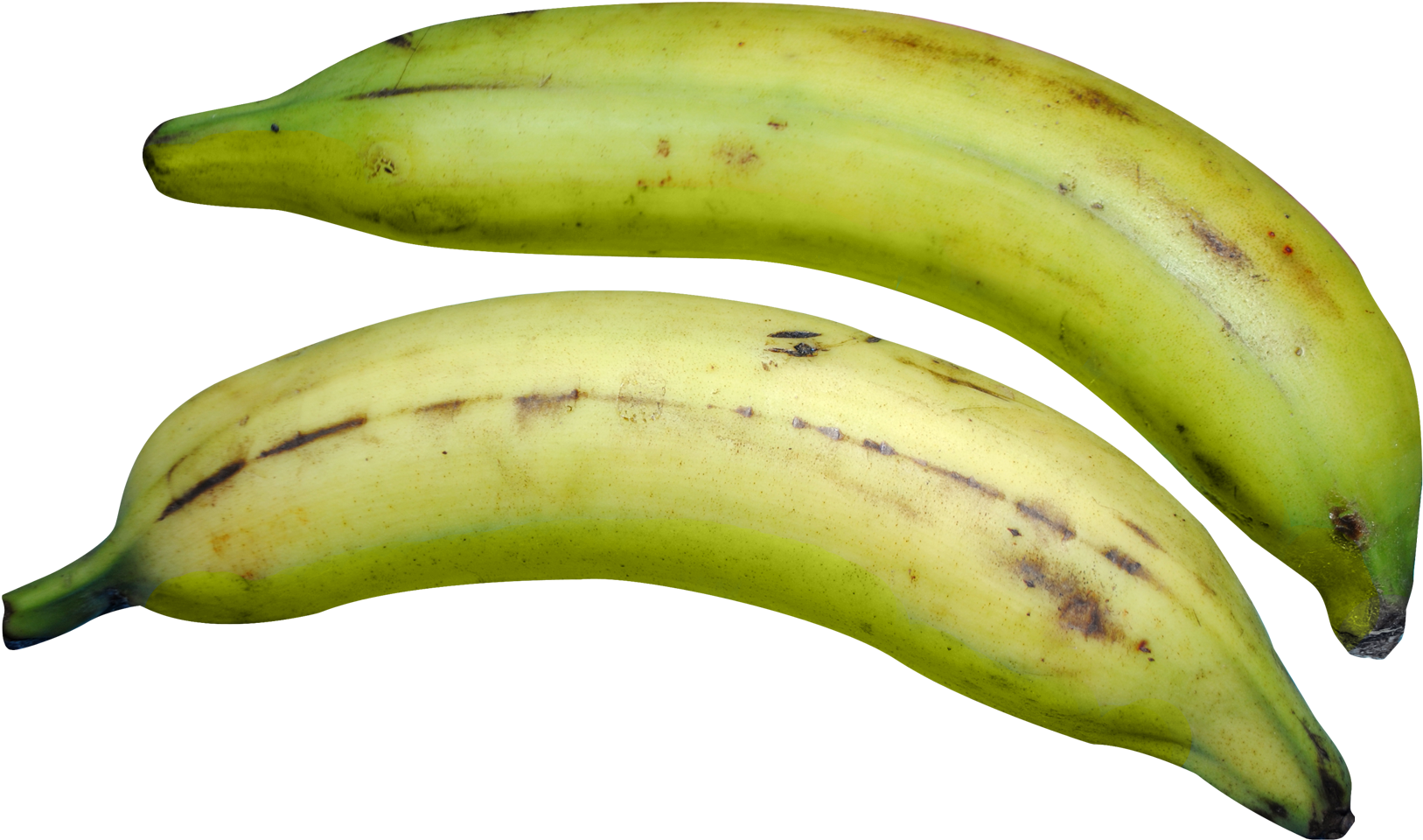 Two Bananas On A Black Background