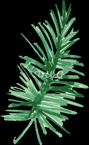 Banner Library Library Pine Fir Leaf Plant Painting - Tropical Plants Png Water Color Transparent