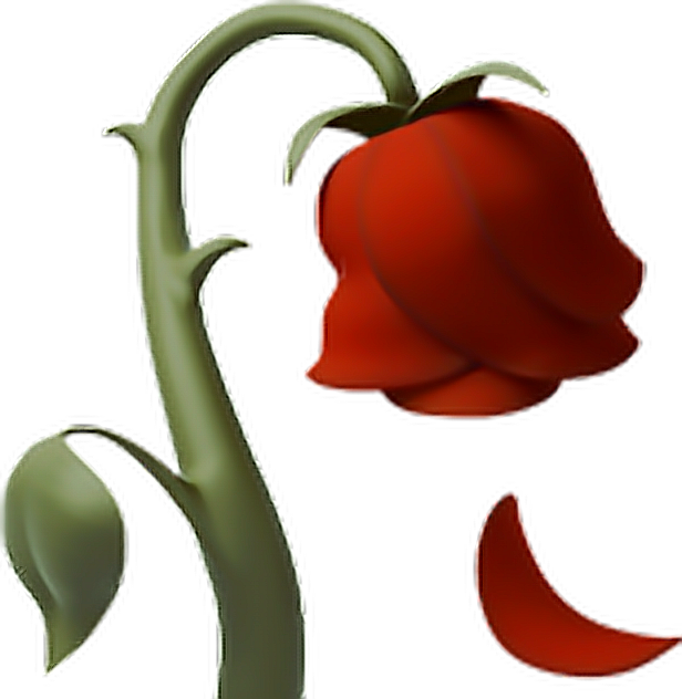 A Red Flower With Green Stem And A Half Of A Moon