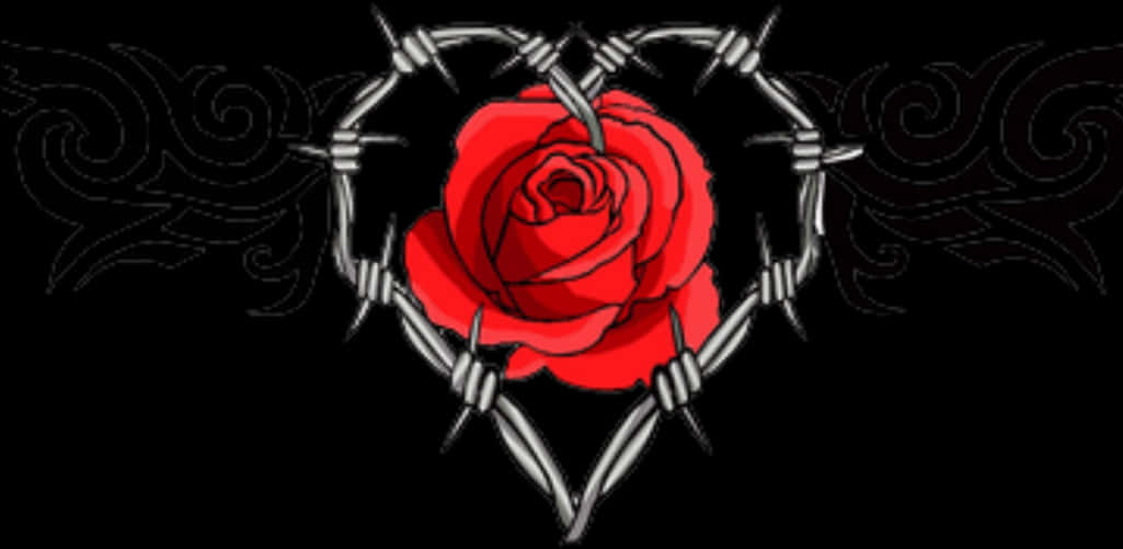 A Red Rose In A Heart Made Of Barbed Wire