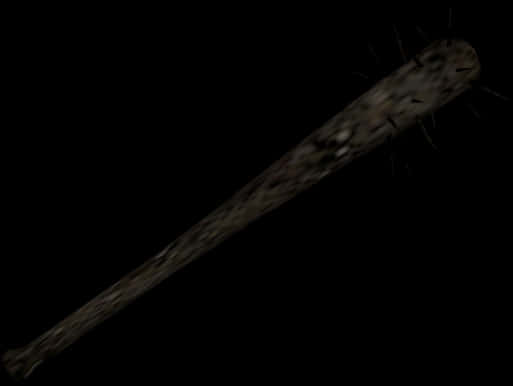 A Long Stick With Spikes
