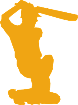 A Silhouette Of A Woman Holding A Bat