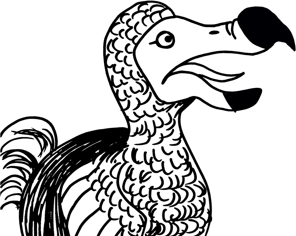 Basic Dodo Bird Sketch