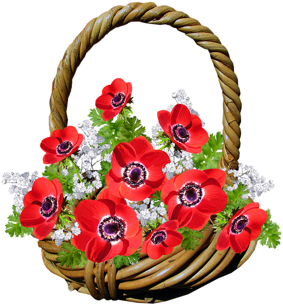 Basket, Anemone, Red Flowers, Gift - Png Flower Basket Download, Transparent Png