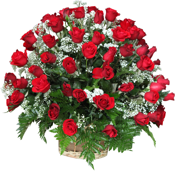 Basket Arrangement With 50 Red Roses - Rose Bokeh Image Download, Hd Png Download