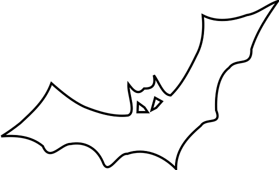 A Bat In The Dark