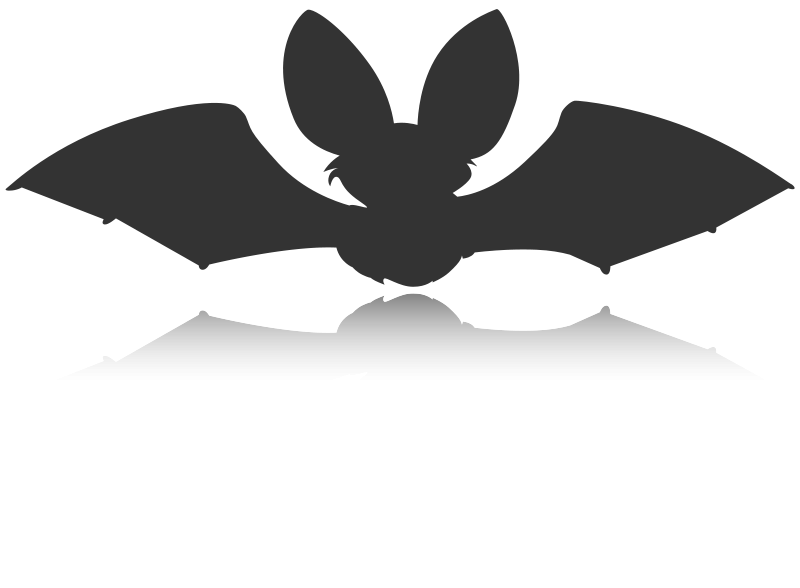 A Bat With Wings And Ears