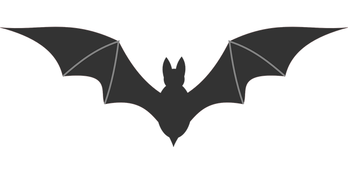 A Bat With Wings Spread Out