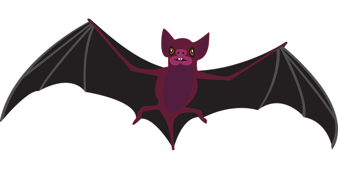 A Bat With Wings Spread