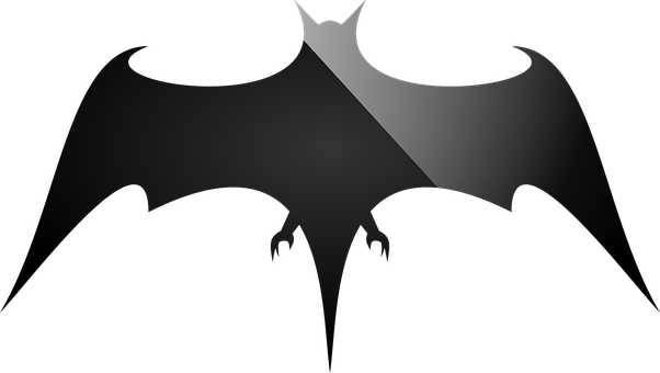 A Bat With A Shadow