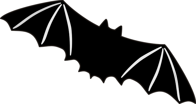 A Bat With White Lines On Black Background