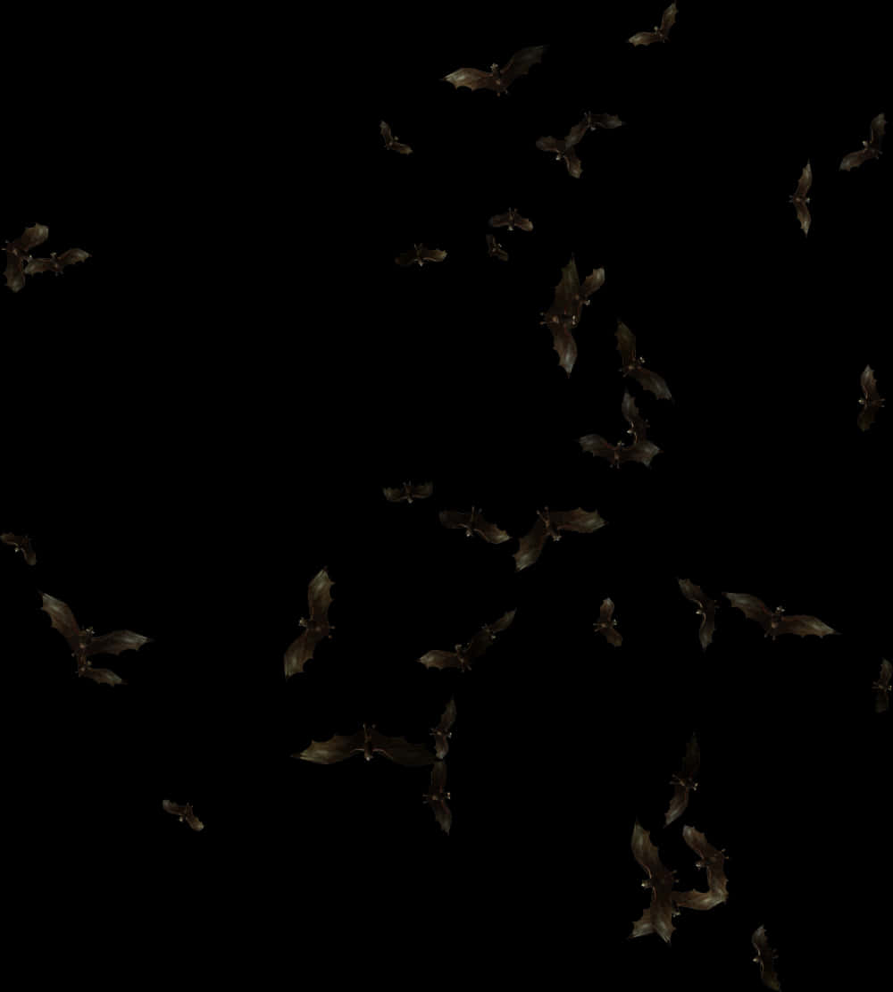 A Group Of Bats Flying In The Sky