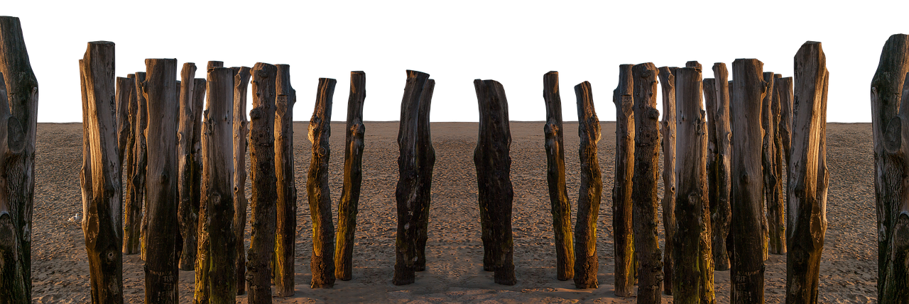 Wooden Poles On The Beach