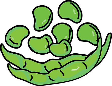 Beans Png 444 X 340