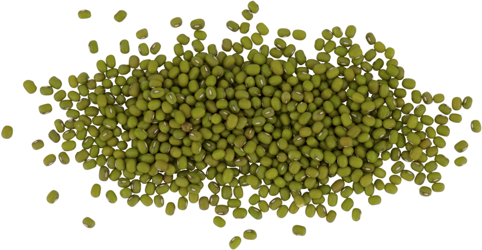 Beans Png 975 X 506