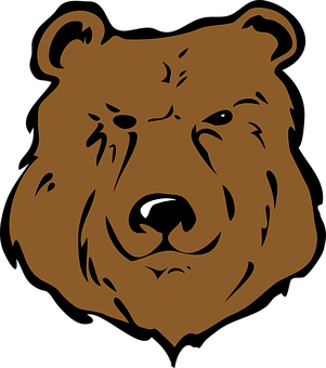 A Brown Bear Face On A Black Background