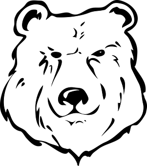 A White Bear Face On A Black Background