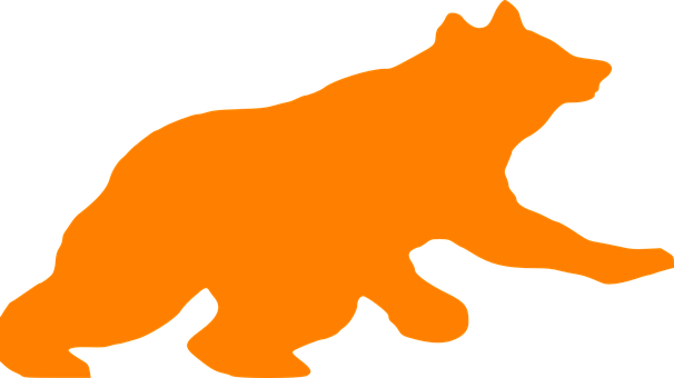 An Orange Tiger Silhouette On A Black Background