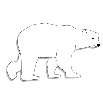 A White Polar Bear On A Black Background