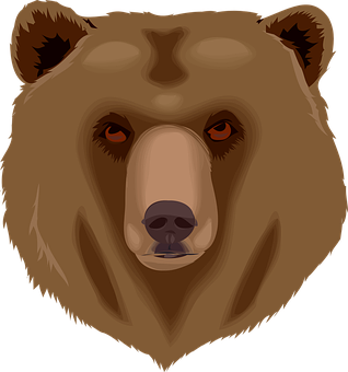 A Bear Face With A Black Background