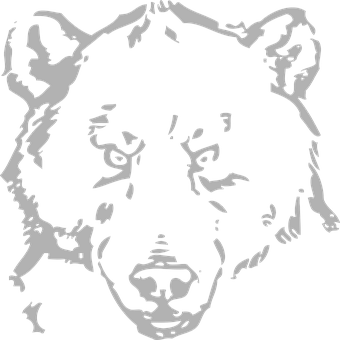 A Black And White Image Of A Bear