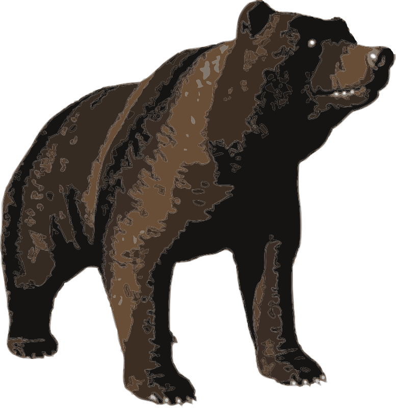 A Brown Bear With White Background