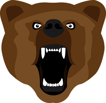 A Bear With Its Mouth Open
