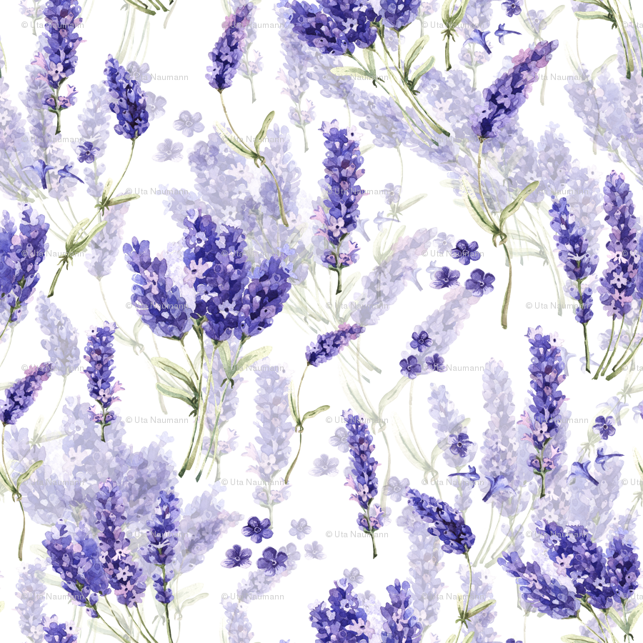 A Pattern Of Purple Flowers