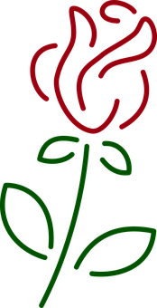 A Red And Green Rose On A Black Background