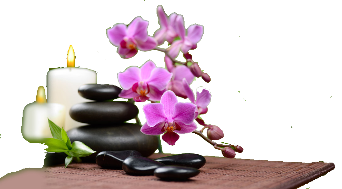 A Purple Orchid And Black Stones