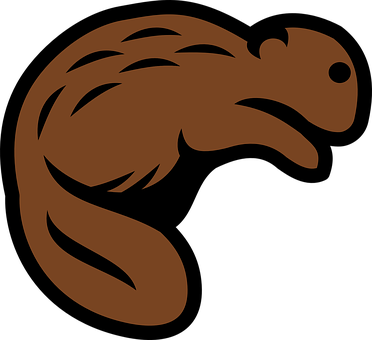 A Brown Squirrel With Black Background