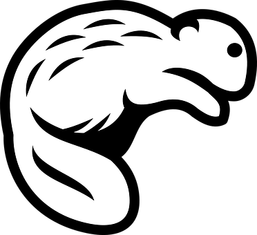 A White Animal On A Black Background