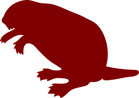 A Red Animal On A Black Background