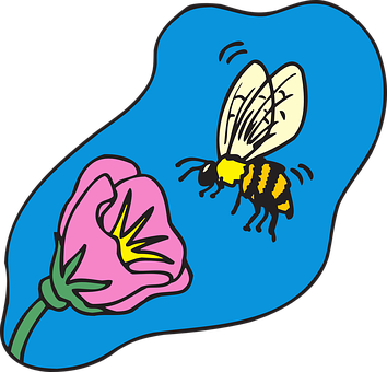 A Bee And A Flower