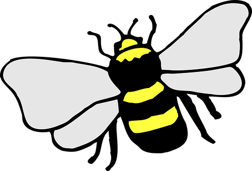 A Yellow And White Bee