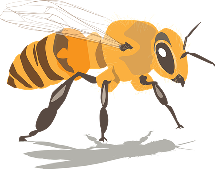 A Yellow Bee With Wings