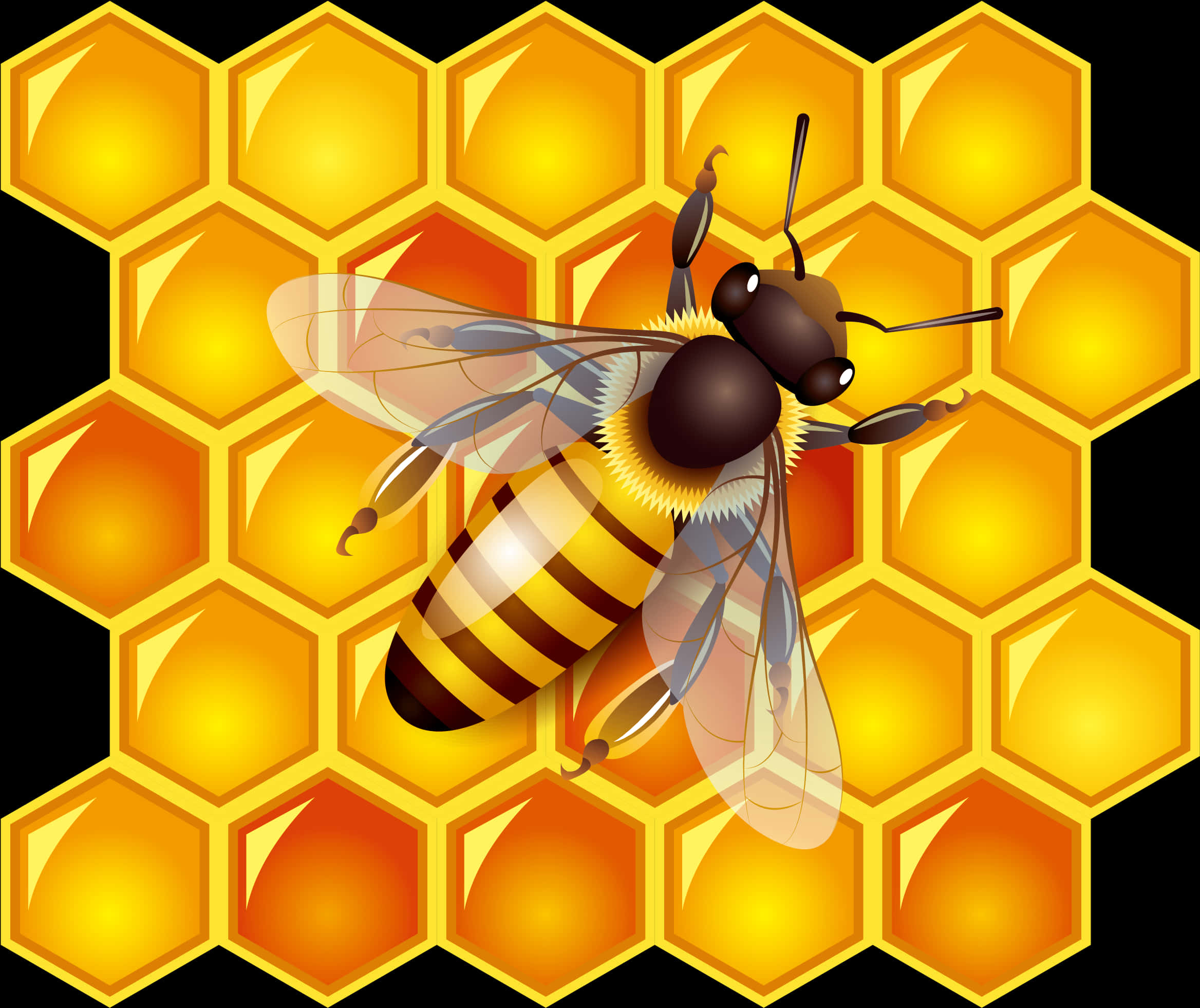 Bee With Honeycombs