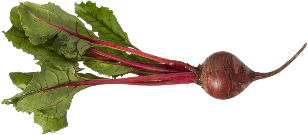 A Beet With Green Leaves